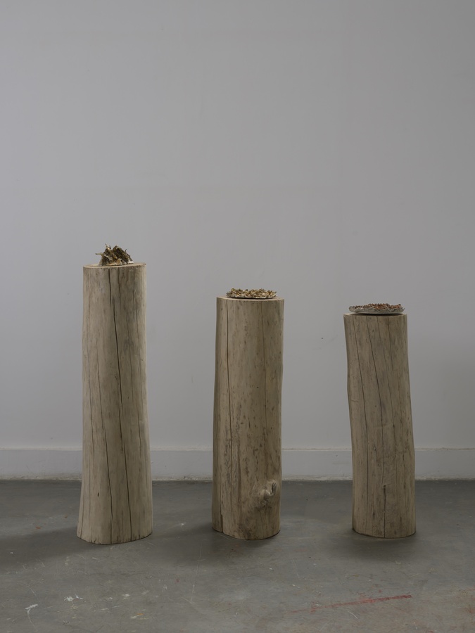My Burning Sun, 2015 Ceramic Installation view