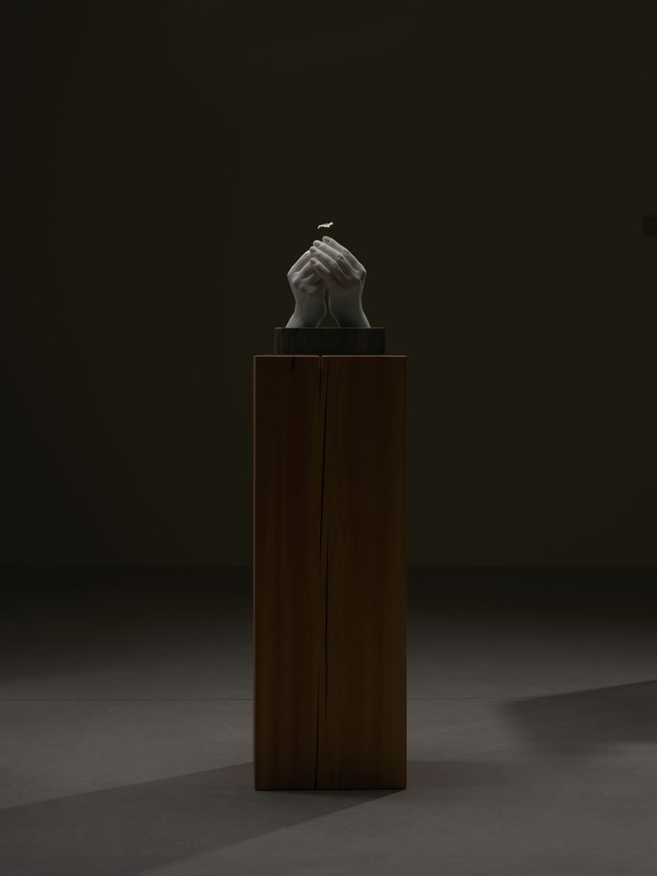 花的力量#1, 2024