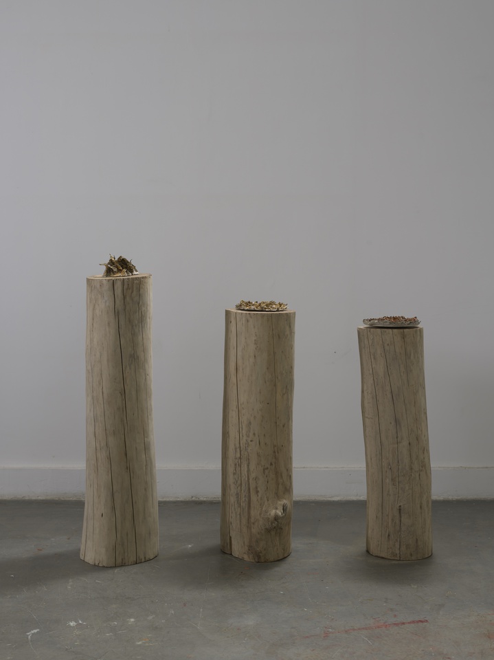 My Burning Sun, 2015 Ceramic Installation view