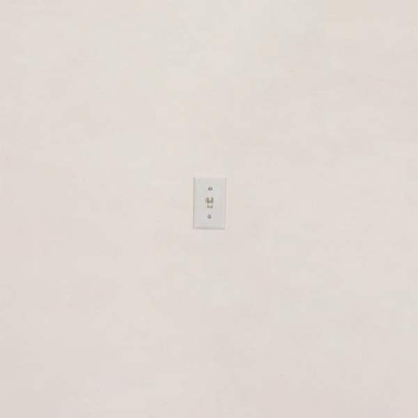 ON, 2007
