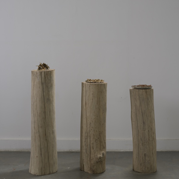 My Burning Sun, 2015 Ceramic Installation view